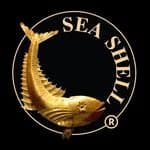 Seashell of Lisson Grove logo